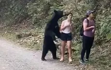 México: Oso abraza a una joven y la reacción de ella se vuelve viral - Noticias de oso-paddington