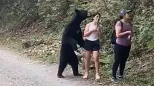 Oso abraza a una joven, pero ella mantiene la calma y hasta se toma una selfie. Foto: Captura