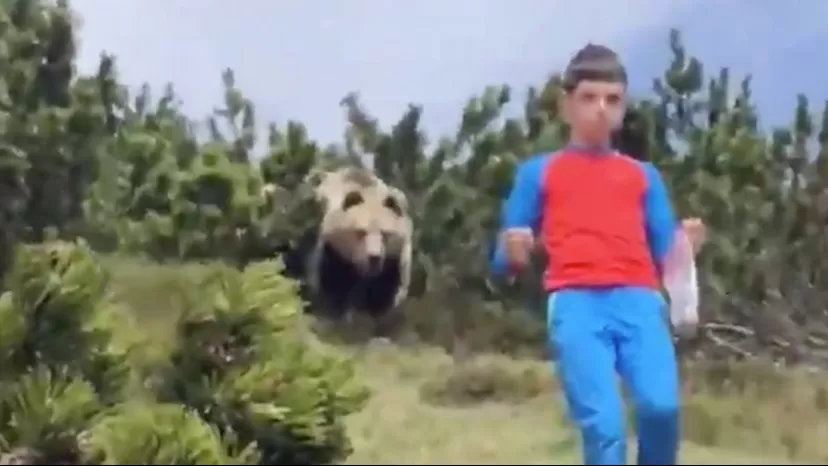 La reacción de un niño al ser perseguido por un enorme oso impacta a miles