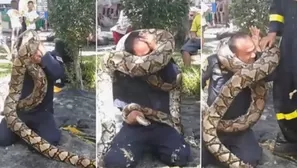 El impactante video en el que la serpiente ataca al bombero es viral en YouTube. (Foto: Captura/Video: Viral Press)