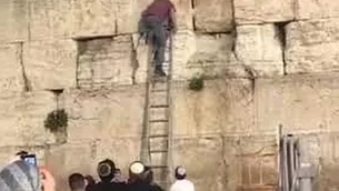 YouTube viral: serpiente sale del Muro de los Lamentos y espanta a fieles. (Foto: Captura/Video: WESTERN WALL NEWS)