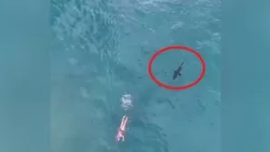 YouTube viral: tiburón persigue a nadador que no se da cuenta del peligro. Foto: captura