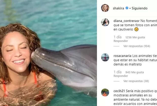 Shakira delfín maltrato animal