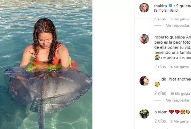 Shakira mantarraya
