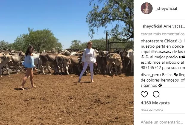 ¿Sheyla Rojas tiene un pretendiente mexicano?