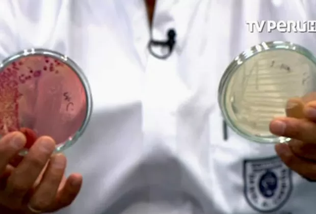 ¿Tomas estas bebidas? Mira cuántas bacterias hay en su interior