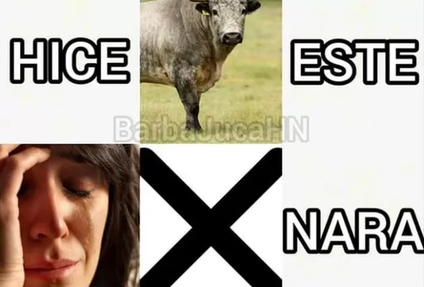 Tusa: ¿Qué significa la palabra del título del tema de Karol G y Nicki Minaj?