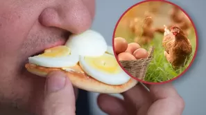 ¿Es peligroso consumir huevo y aves debido a la emergencia sanitaria por gripe aviar?
