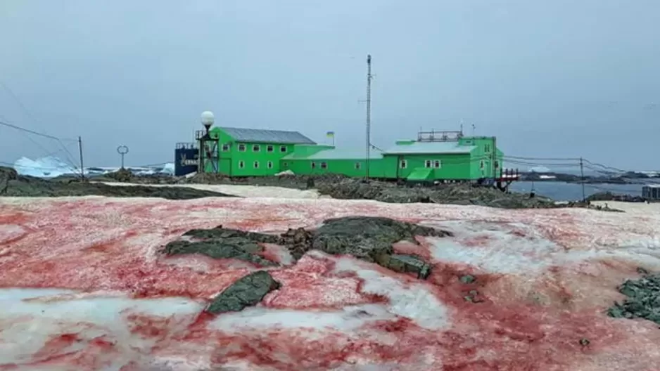 Foto: Ministerio de Educación y Ciencia de Ucrania