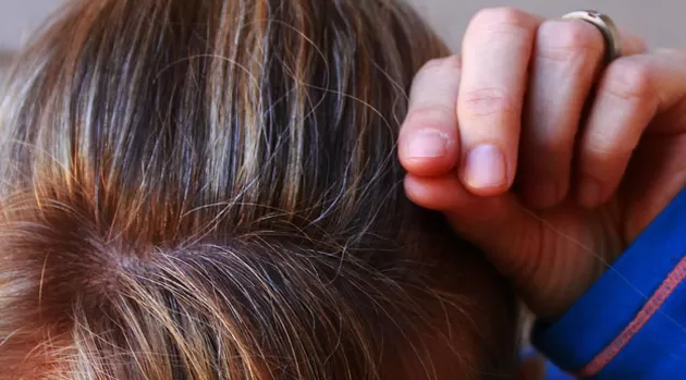 ¿Arrancarse las canas hace que crezcan más?