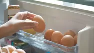 Si metes los huevos al refrigerador ¿Hay riesgo de salmonella?