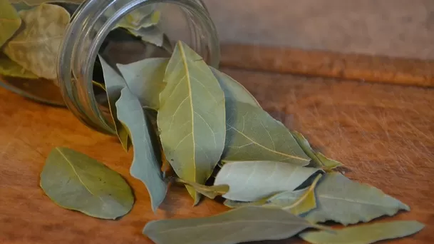 Escribe tus deseos detallados en las hojas de laurel