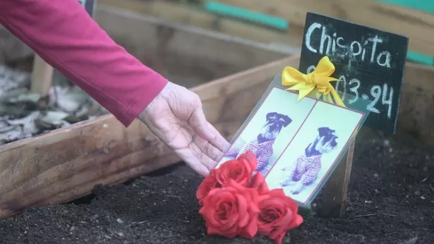 Lima Compost inaugura el primer camposanto ecológico para mascotas