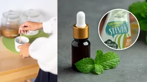 Guía para comprar una buena stevia. 