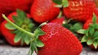 ¿Cómo debes lavar las fresas para eliminar los parásitos?