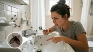 ¿Cómo eliminar las mosquitas de la humedad y por qué aparecen?
