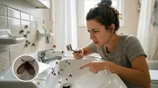 Conoce cómo eliminar las mosquitas de humedad que aparecen en el baño.