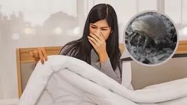 Tender la cama apenas te levantas es malo para tu salud