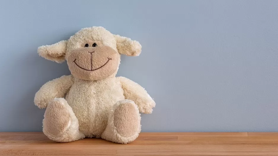 Te compartimos dos útiles tips para que sepas cómo limpiar tus peluches