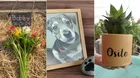 ¿Tu mascotita partió? Conoce cómo se puede transformar su vida en plantas