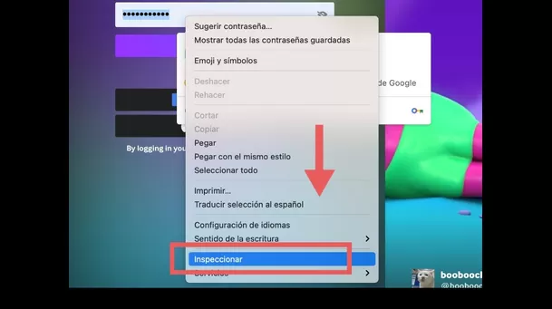 Botón "Inspeccionar" para ver contraseñas ocultas. (Captura: Útil e Interesante) Botón "Inspeccionar" para ver contraseñas ocultas. (Captura: Útil e Interesante)