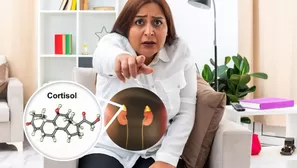 El cortisol, la hormona que te prepara para afrontar el estrés. 