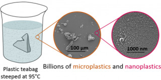 Partículas de microplástico en bolsitas de té. (Foto: Universidad de McGill)