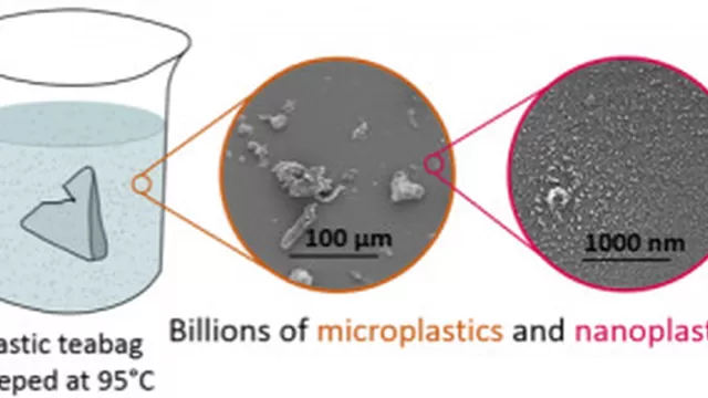 Partículas de microplástico en bolsitas de té. (Foto: Universidad de McGill)