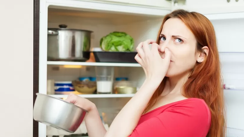 &iquest;Es realmente malo meter comida caliente en el refrigerador?