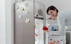¿Cuánto gastas de luz al abrir y cerrar el refrigerador varias veces al día? - Noticias de maria-pia