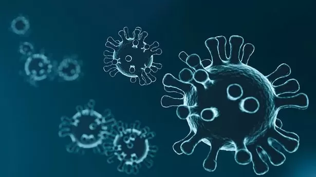 Estudios en Alemania explicaron hasta cuántos días puede sobrevivir el coronavirus