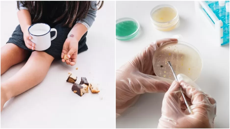 Si un alimento cae al piso, recogerlo lo más antes posible lo salva: ¿mito o verdad? Si un alimento cae al piso, recogerlo lo más antes posible lo salva: ¿mito o verdad?