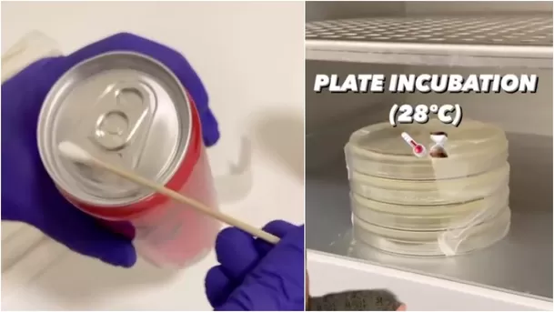 Formas de limpiar una bebida en lata puestas a prueba. Formas de limpiar una bebida en lata puestas a prueba.