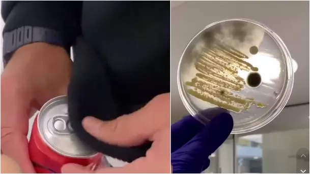 Hallazgo de hongos y bacterias en latas que no se reciben limpieza o que solo se frotan con la ropa. Hallazgo de hongos y bacterias en latas que no se reciben limpieza o que solo se frotan con la ropa.