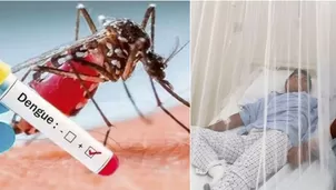 Estos son los síntomas del dengue en casos leves y severos. 