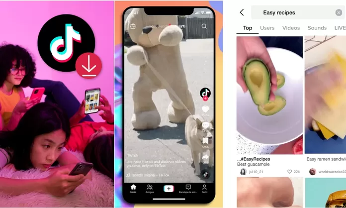 Watermark Removal Tested: the Truth Behind Popular Online Tiktok Video Downloaders