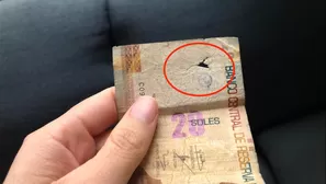 Lo que debes hacer si tienes un billete roto (Foto: UeI)