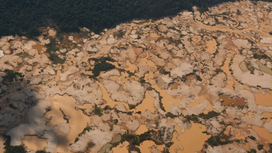 ¿El mercurio puede matar? (Foto: WWF)