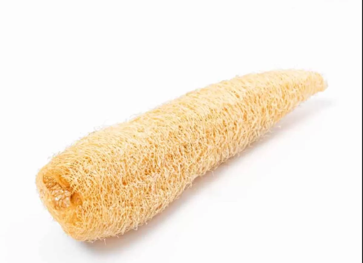 Luffa, la esponja vegetal