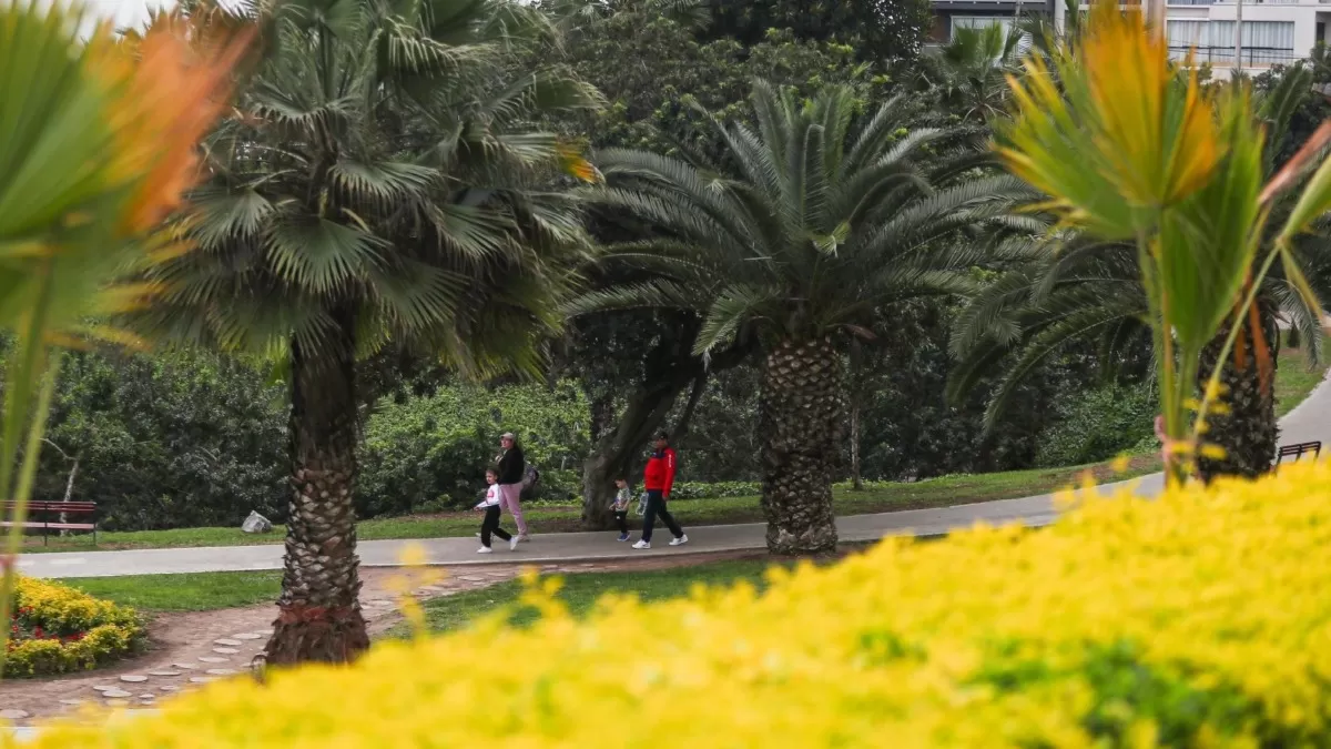 Pronóstico de la primavera en Lima para este 2024. (Foto: Andina)