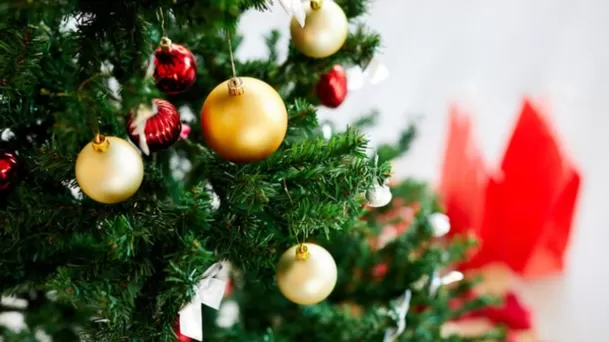 Los colores rojos y dorados deben predominar en la decoración del árbol de Navidad. 