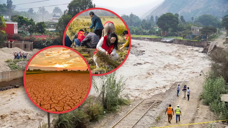 ¿En qué se diferencia el Niño Costero del Niño Oceánico?