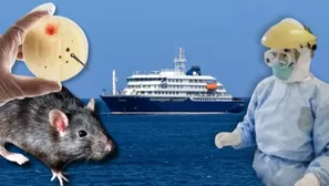 ¿Qué es el hantavirus y cuáles son las señales de alerta? 