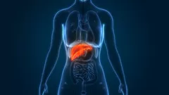 Hígado graso: ¿qué debes comer y qué no?