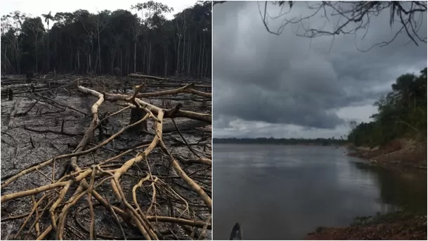 Entre octubre y noviembre, la Amazonía peruana tendría lluvias entre normales a deficientes. (Fotos: Andina)