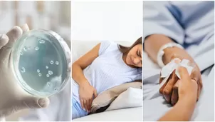 Infección por bacteria Salmonella: Guía completa para identificarla, tratarla y prevenirla