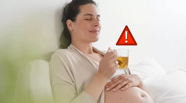 ¿Qué infusiones se prohíben en el embarazo y por qué son peligrosas?