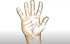 El significado de las líneas de tus manos que debes conocer - Noticias de de-6-a-9