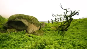 Tres lomas cerca de Lima que puedes visitar