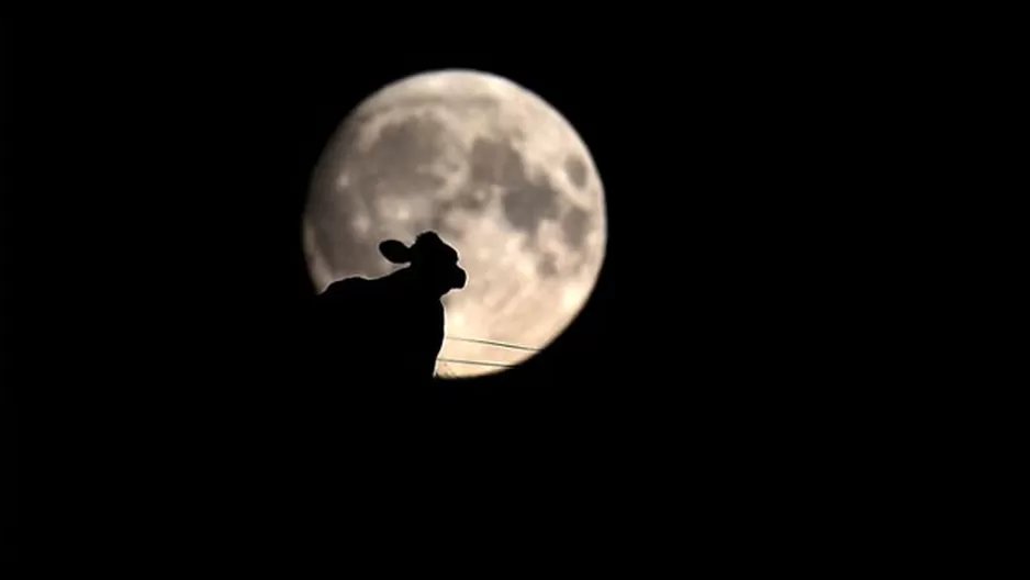 Las terribles consecuencias que podría traer la luna artificial china Las terribles consecuencias que podría traer la luna artificial china